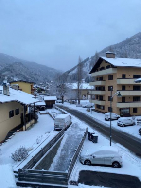 Bellaria Apartment Mountain View Predazzo